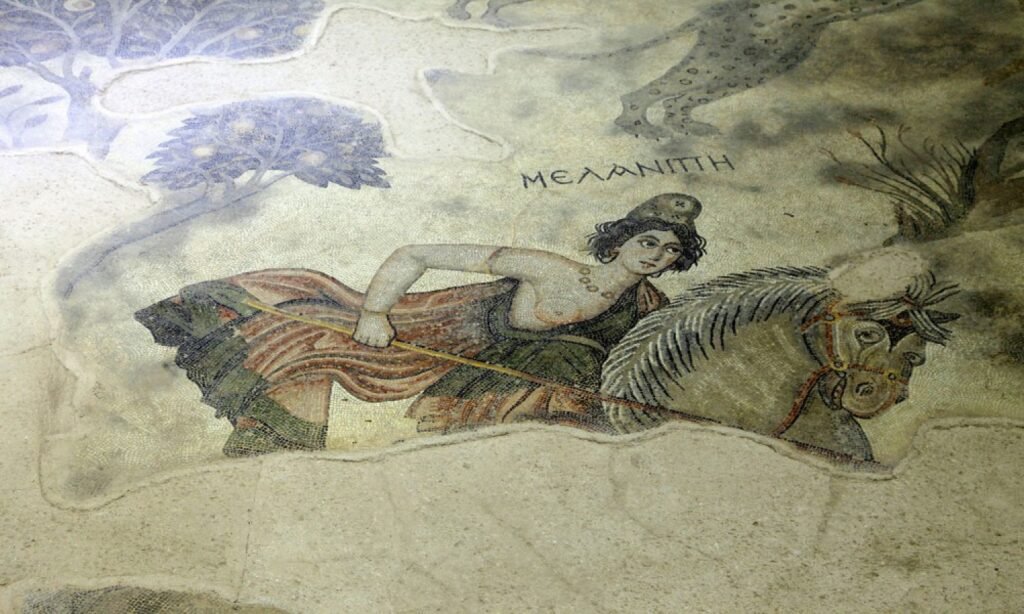 The photo shows an ancient mosaic depicting what appears to be an Amazon warrior, as suggested by the attire and the Greek inscription which can be associated with such figures from classical antiquity. The warrior is portrayed riding a horse, which is characteristic of the Amazonian myths where women were described as skilled horse riders and warriors. The mosaic is rich in detail, with the figure's clothing and the horse's bridle rendered in a variety of colors and patterns, indicating the artistry and sophistication of the culture that produced it. This kind of artwork is a valuable historical artifact, offering insight into the artistic techniques and cultural representations of the time in Sanliurfa Haleplibahce Mosaic Museum