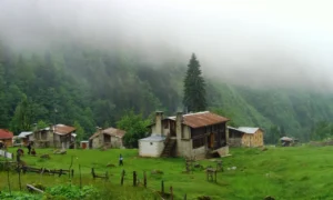 Ayder
