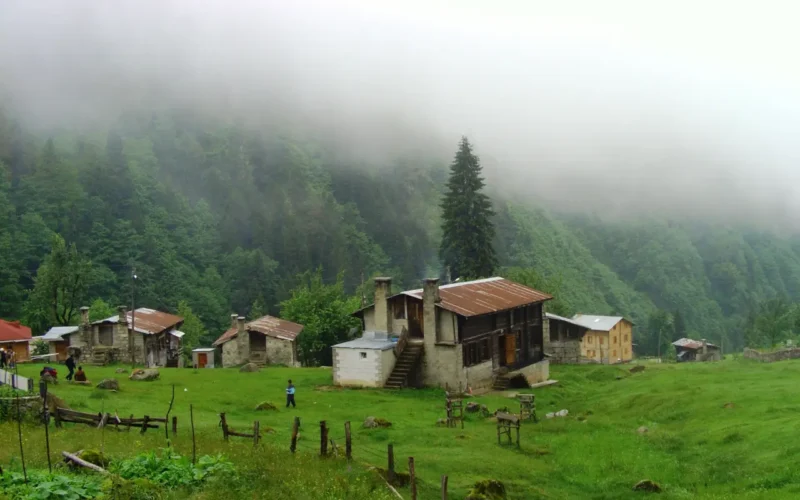 Ayder